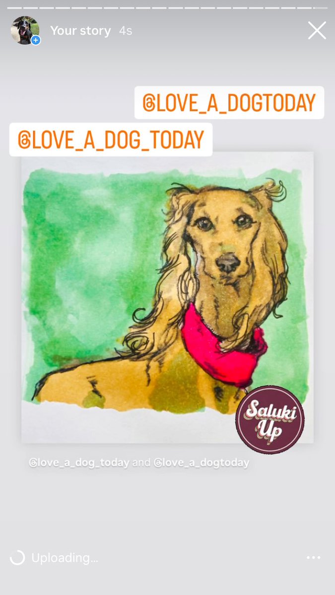 Today’s Saluki artwork

Follow on IG @love_a_dogtoday and @love_a_dog_today for the complete posts and profiles of these pups
.................
#dog #dogs  #loveadogtoday #loveadogday  #doglove #dogsoftwitter #twitterdogs #twitterdog