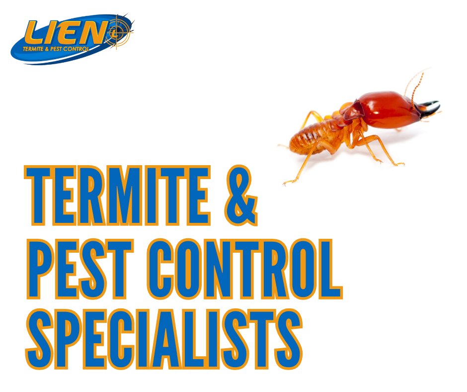If you are experiencing pest problems in the Omaha area, the Lien Termite & Pest Control specialists are here to help! #LienOnUs #PestControlOmaha #LienTermite