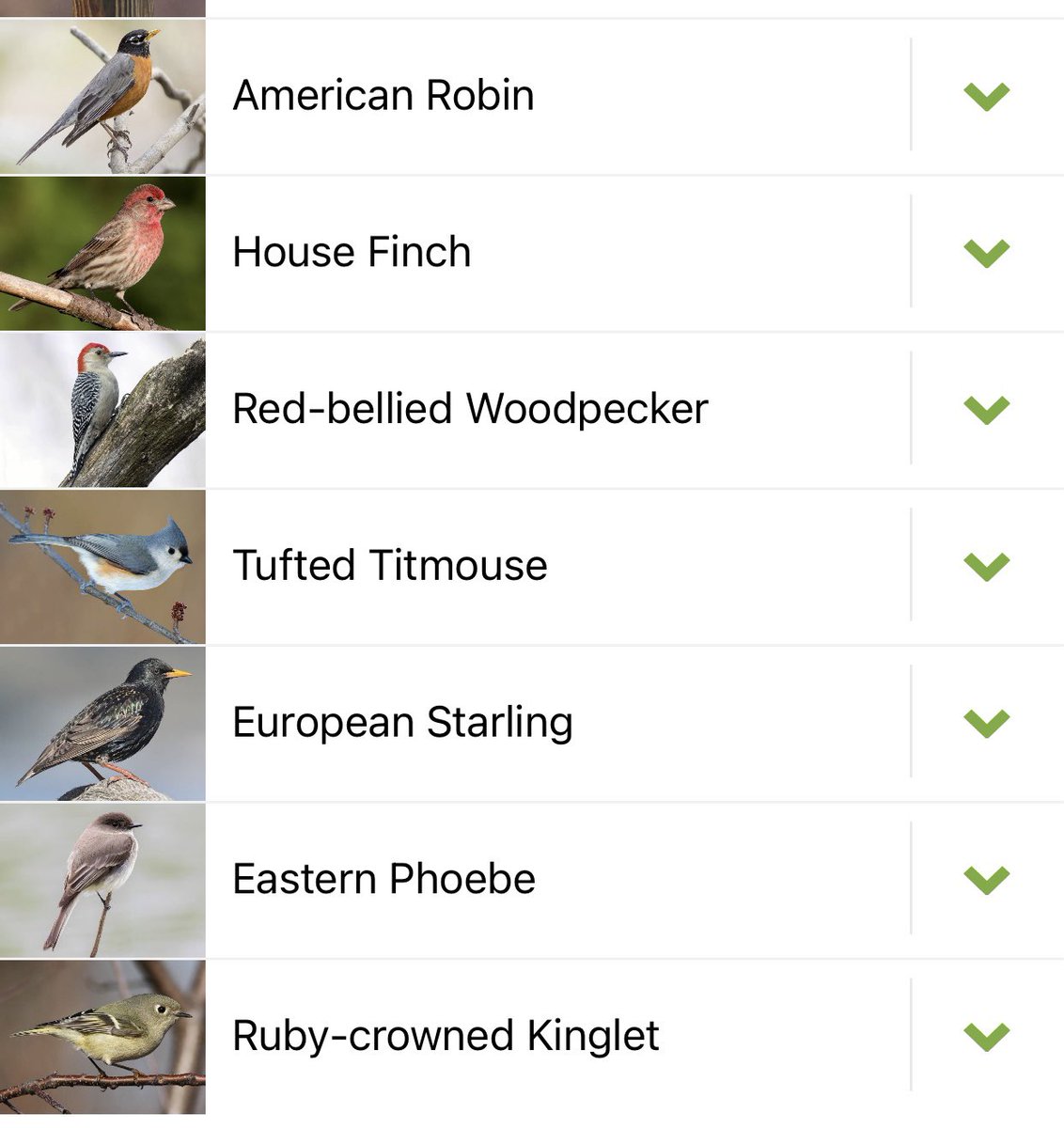 Betsy Herrin tweet media