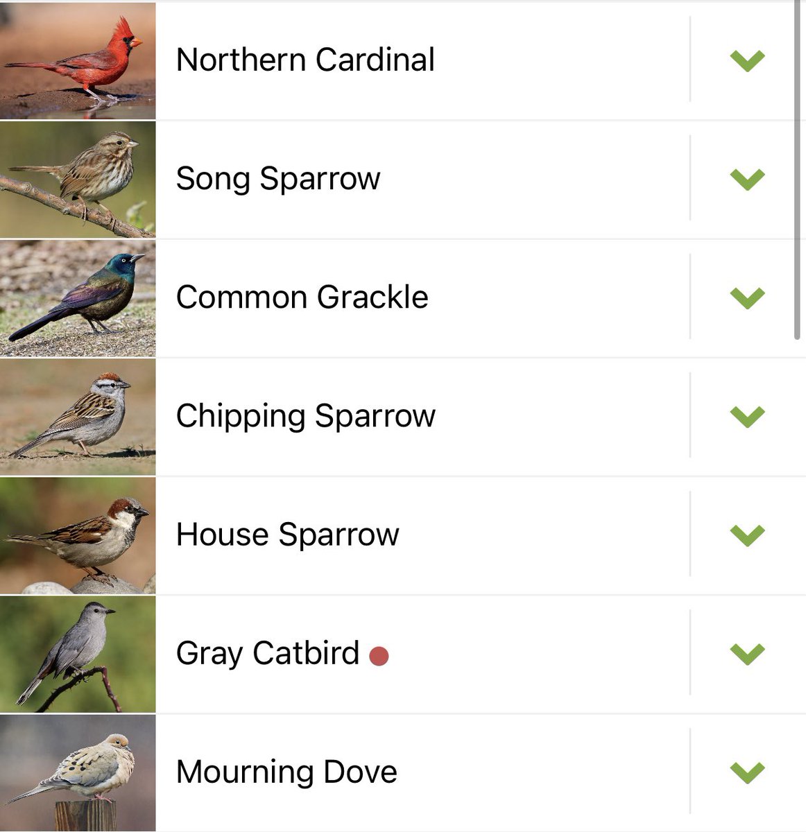 Betsy Herrin tweet media