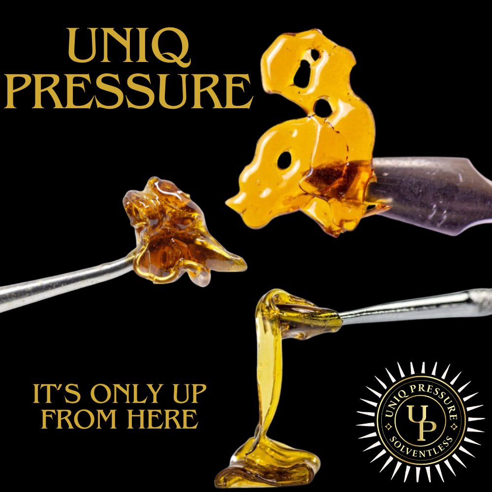 UniqMonroe's tweet photo. Did We Mention Its Terp Tower Tuesday! 
HUGE DROP from UNIQ Pressure 
Bubble Hash 1G=$25 OR 5G Bucket= $100
Rosin 2G=$60, 3 New Strains👀👀 https://t.co/BMytfWk6S4
