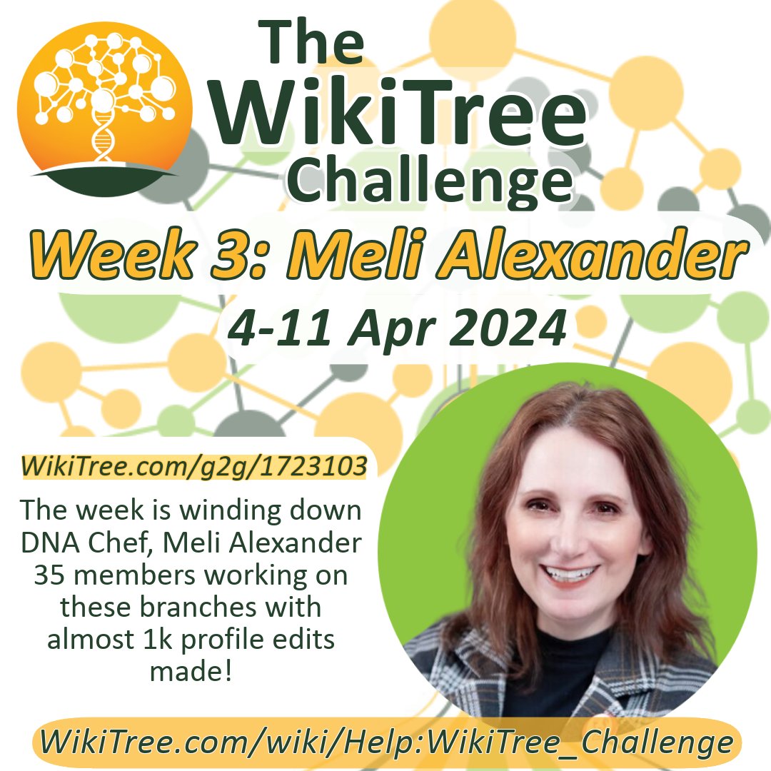 The week for @TheDNAChef, @AmericanCousin1 is winding down! 35 members working on these branches with almost 1k profile edits made! wikitree.com/g2g/1723103/?u… #CollaborativeGenealogy #WTChallenge