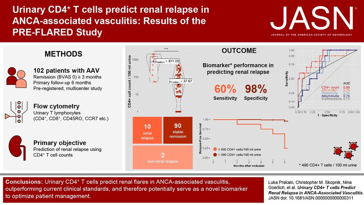 Early identification of patients at risk of renal flares in ANCA vasculitis is crucial. This study concluded that urinary CD4+ T-cell counts could identify patients with ANCA-associated vasculitis at a substantial risk of renal relapse within 6 months bit.ly/JASN0311