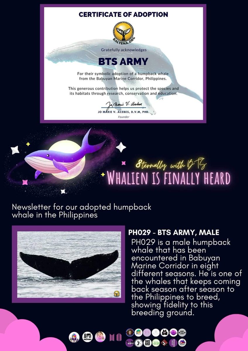 Exciting news, ARMY! Our beloved whale, PH029, fondly known as 'BTS ARMY,' has returned! Spotted by the diligent research team of Balyena.org @BalyenaOrg, a non-profit organization founded in 2009 by passionate individuals dedicated to studying whales and dolphins in