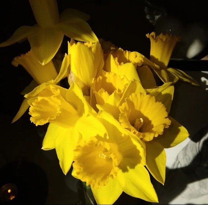 #gefühlteMomente ♥