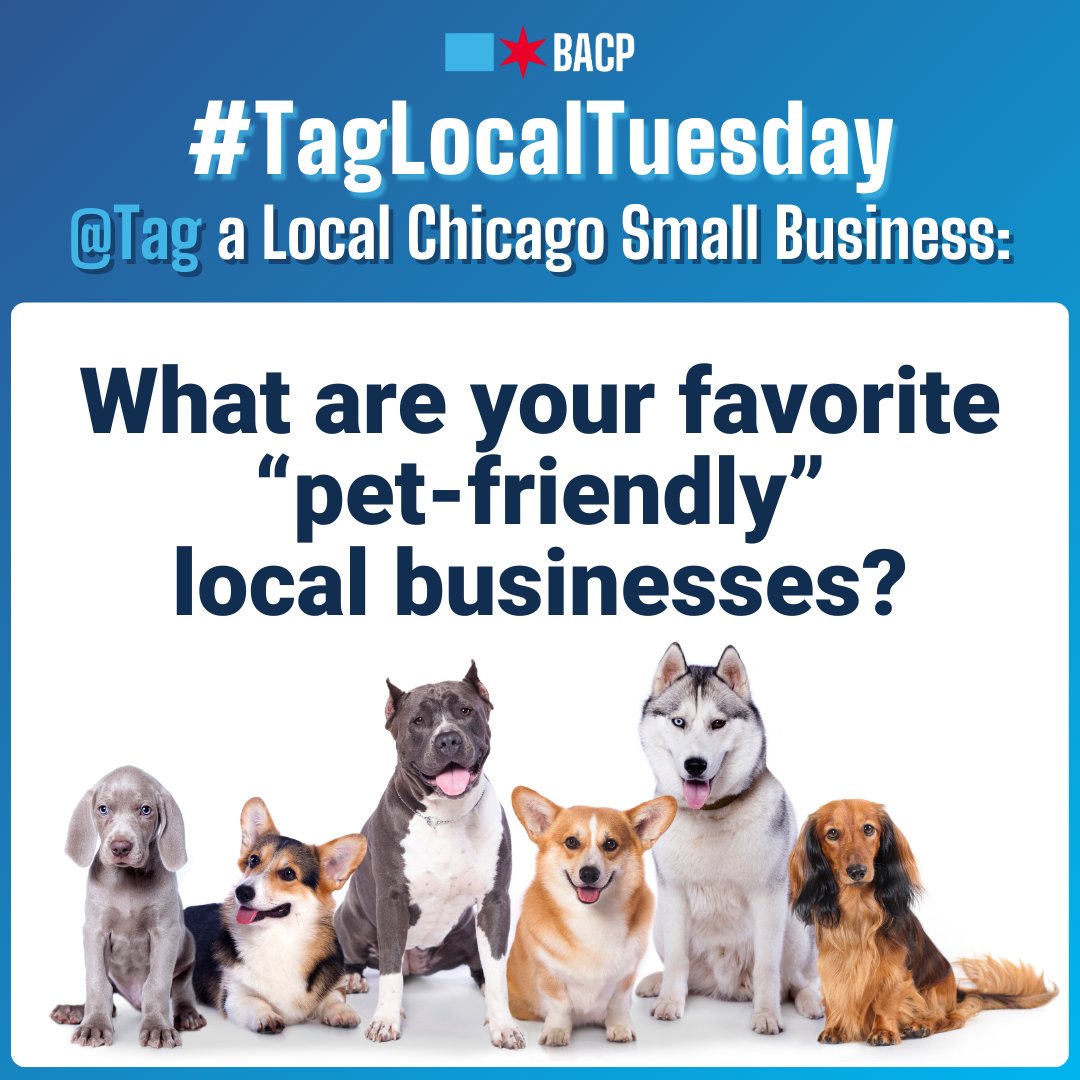 This Thursday is #NationalPetDay 🐾 Let's celebrate our furry friends by showing them some extra love! Whether it's treats, toys, grooming or more, Chicago's small business community has our pets covered. Tag your favorite pet-friendly spot! #TagLocalTuesday #ShopLocalChicago