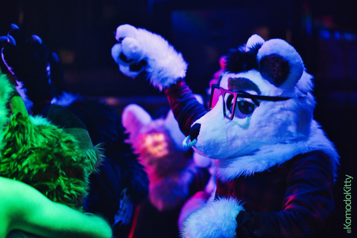 Time to party till the break of dawn!! 🔥 📸:@KomodoKitty 📍:@FierceFurriesTO