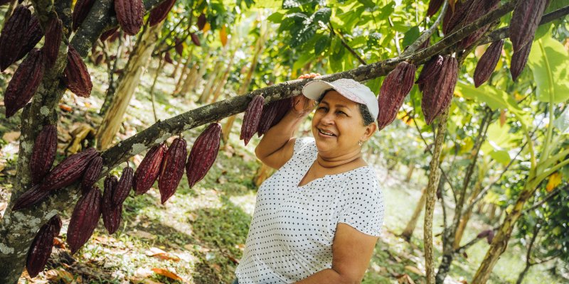 A sweet partnership🍫: Through the #HEARTH initiative, @USAID & private-sector partners @Olam, @Nespresso, & @MarsGlobal are helping cocoa & coffee farmers adopt sustainable agriculture techniques to conserve #biodiversity & improving livelihoods. More: biodiversitylinks.org/stories/recent…