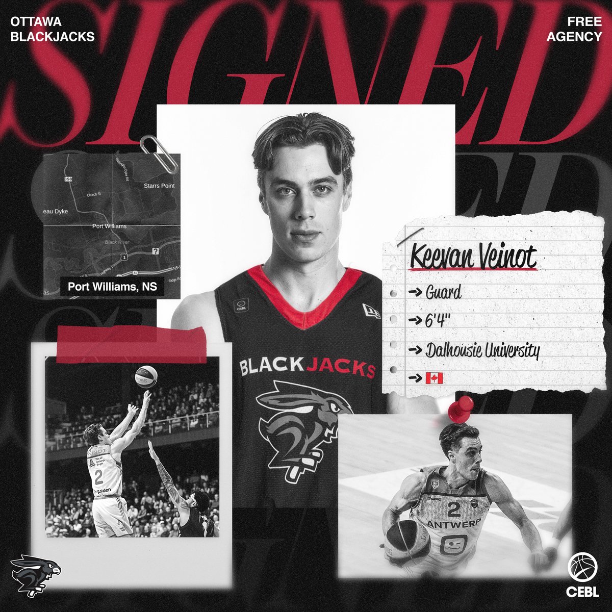 PLAYER SIGNING 🖊️

Welcome Canadian Guard and @daltigers alumni, Keevan Veinot!

@Keeveinot is currently concluding his season with the @antwerpgiants in Belgium and the Netherlands.  

Full press release: 🔗 theblackjacks.ca/ottawa-blackja…

#TheCapital | #OurGame