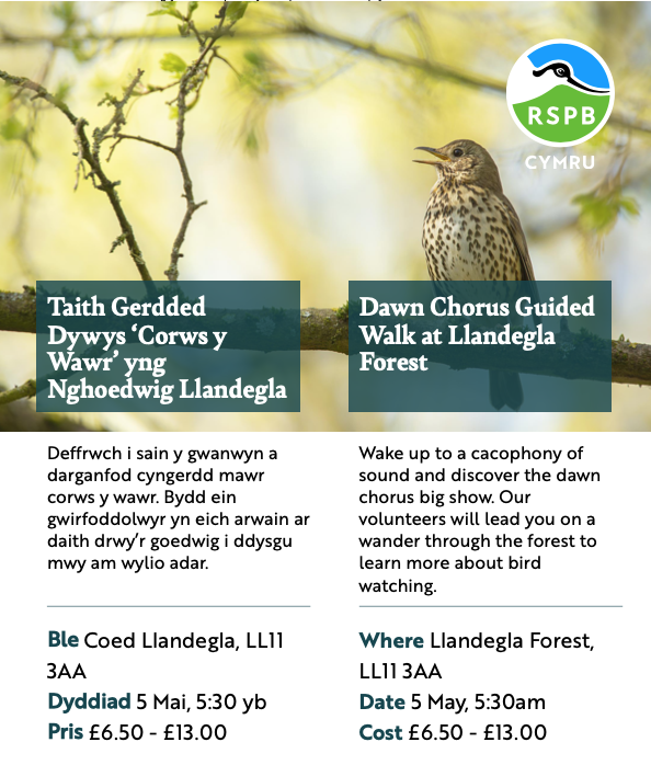 OPALlandegla's tweet photo. Dawn Chorus walk in the forest in May...
#llandegla #NorthWales 
@RSPBCymru https://t.co/ihg79ruC2p