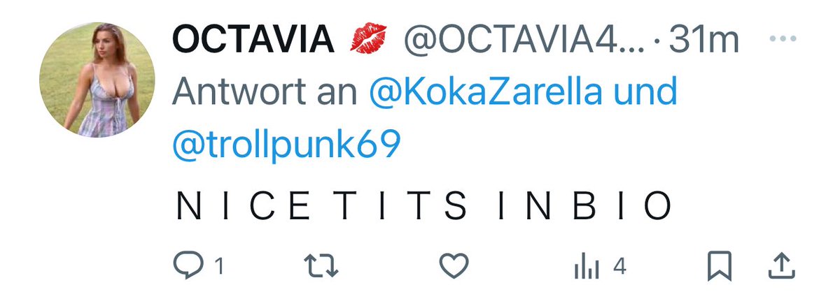 Pogobär tweet media