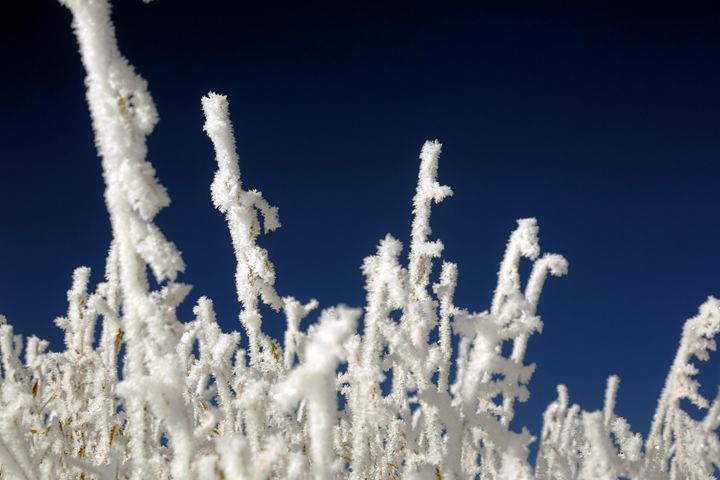 Art of the Day: 'Icicles on tall grass'. Buy at: ArtPal.com/elygoldart?i=9…