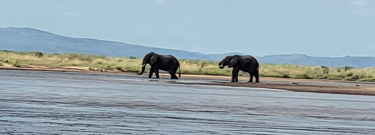 People often don't remember what you've said.... but they do remember how you made them feel.