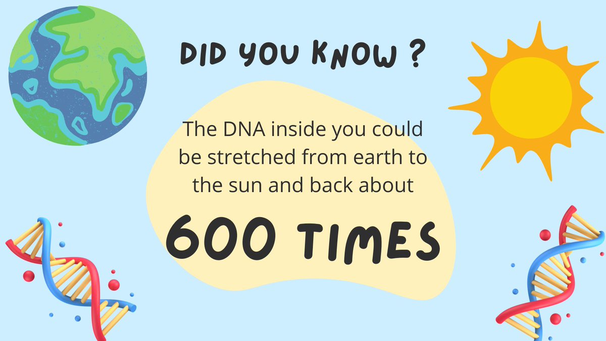 Aren’t you amazed by the complexity of our genetics? Did you know that human DNA, if unraveled, would stretch from the Earth to the sun and back more than 600 times? ☀️ Let's encourage youth to explore the fascinating world of genomics! dnaday.org #TheFutureisBright