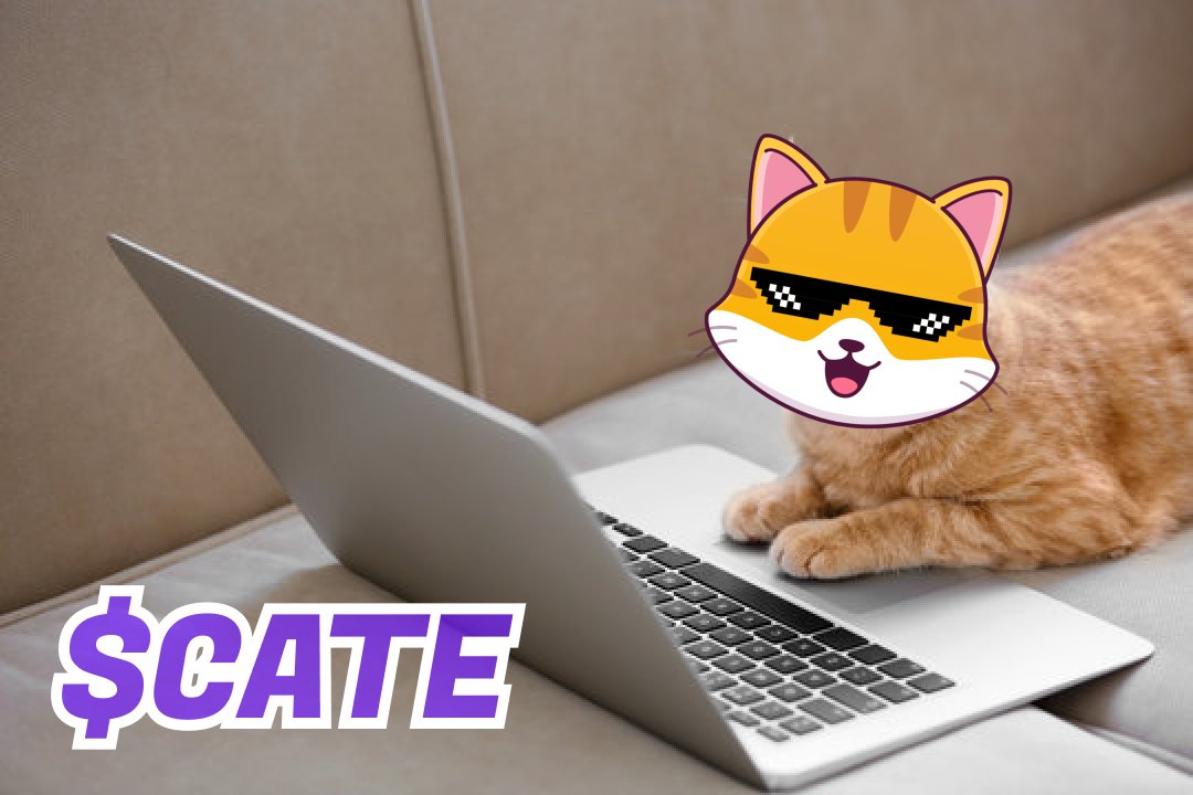 Getting the job done! $CATE #catecoin #catswithjobs