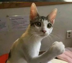 0x4a69D70Ba0E8E1a3A47462426327CeBea8C69F4f 

Smash your memeativity.
<a href="/adreenaz_misa/">ADREENAZ MISA</a> <a href="/clemenz_napitu/">clemenz napitu</a> <a href="/cettaz_fayola/">cettaz fayola</a> 
🔥  #memeativity  <a href="/BitgetWallet/">Bitget Wallet 🩵</a>