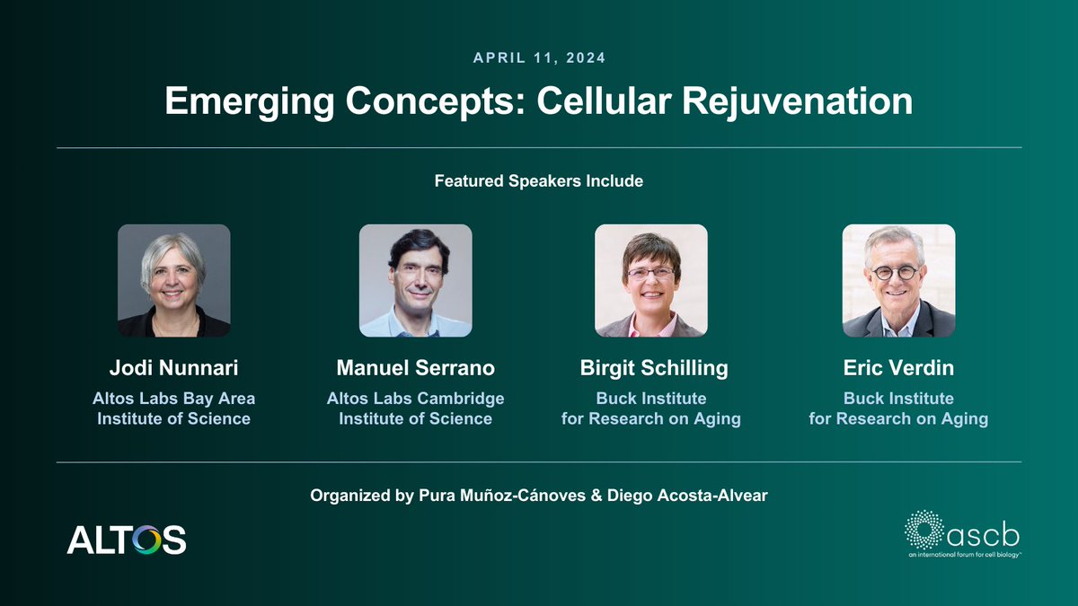 Join us this Thursday for an installment of the virtual @ASCBiology Emerging Concepts series focused on cellular rejuvenation - the program was organized by Principal Investigators Pura Muñoz-Cánoves and Diego Acosta-Alvear. Register here: ascb.org/meetings-event…