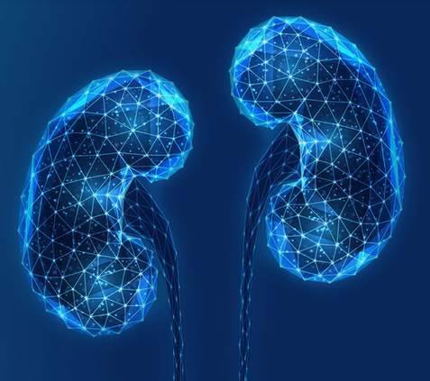Calling AKI researchers: Join AKINow on April 18 for a panel discussion on, “How to Build and Best Use Kidney Biorepositories”. Panelists include @KidneydrChirag, Adriana Hung, and Sanjay Jain bit.ly/3TGfslE @waikarss @renalgal @MarkOkusa @samirparikhmd