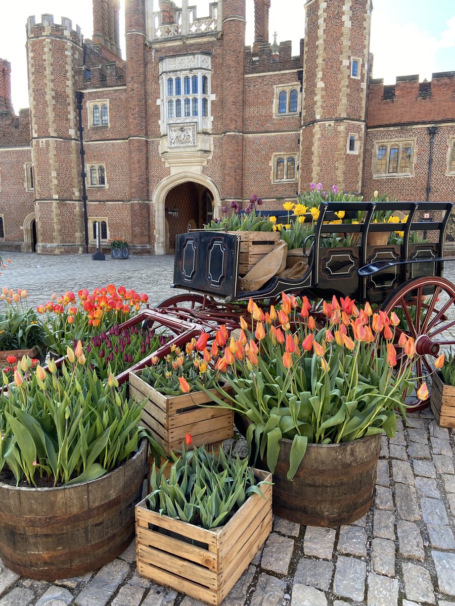 The Tulip Festival has begun at the palace and it is giving me such springtime joy 💐🌷