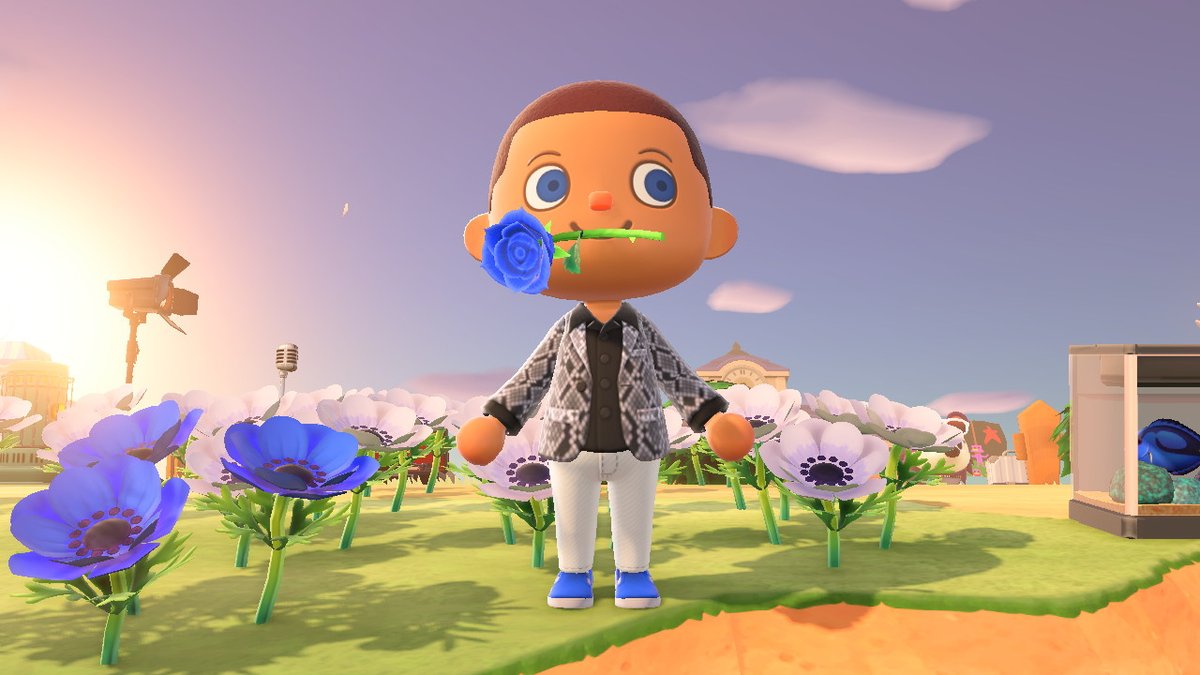 YtStevious's tweet photo. blud looking fresh #AnimalCrossing #ACNH #NintendoSwitch https://t.co/z6VBxu0l15