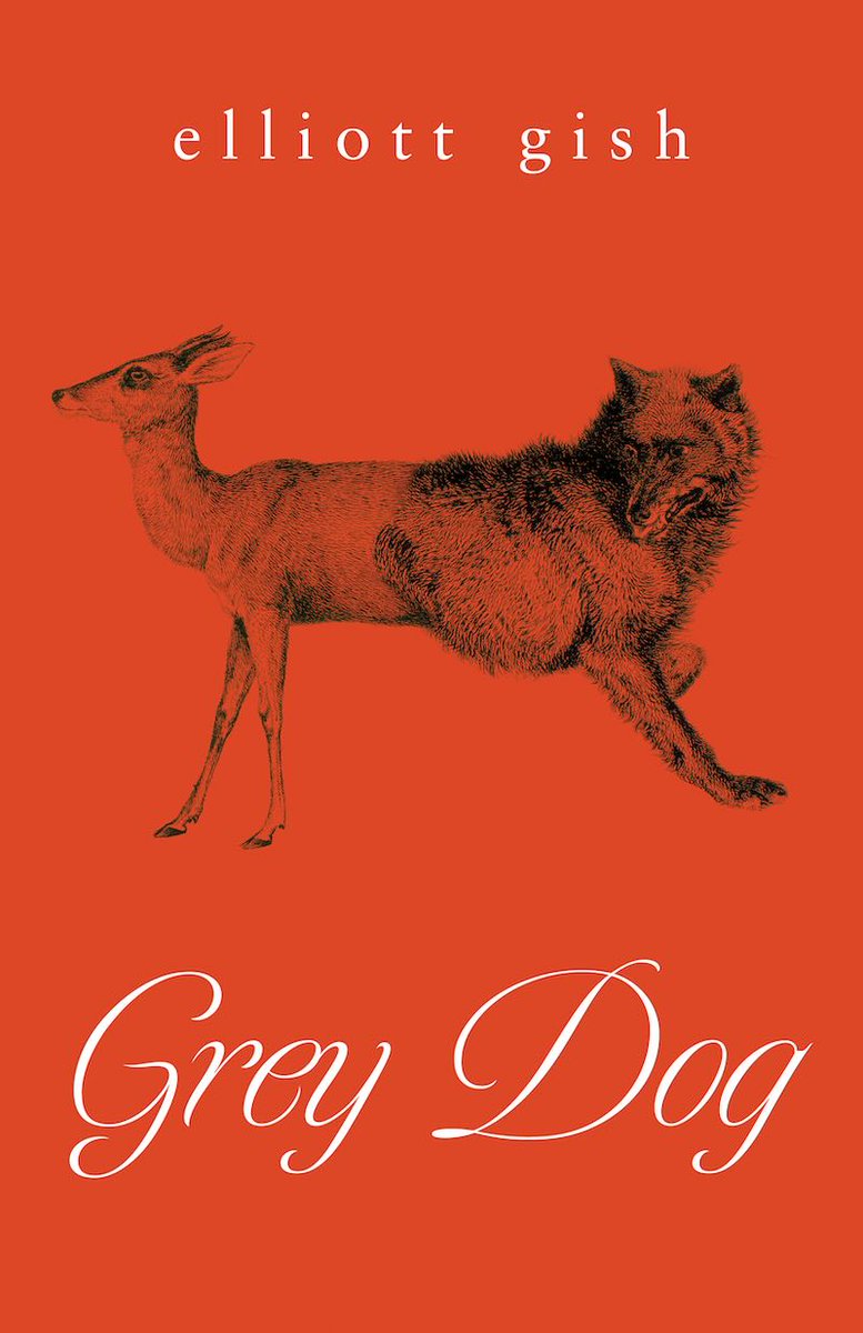 A walk in the woods can be relaxing. Unless it's the woods in Elliot Gish's new haunted forest #horror novel 'Grey Dog.' To learn why, check out this exclusive interview. paulsemel.com/exclusive-inte… 📖🌳🌳🌲🌳 . . . . . . . . . . . #BookTwitter #books #reading #AuthorInterview