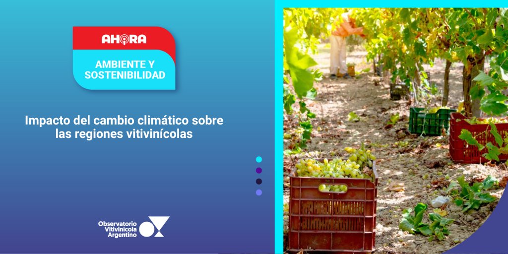 🔴 AHORA⎥ AMBIENTE Y SOSTENIBILIDAD
IMPACTO DEL CAMBIO CLIMÁTICO SOBRE LAS REGIONES VITIVINÍCOLAS
observatoriova.com/ahora/impacto-…
Conocé todas nuestras alertas en 👉🏼 observatoriova.com/ahora/
#AhoraOVA #AmbienteySostenibilidad #CambioClimático #RegionesVitivinícolas