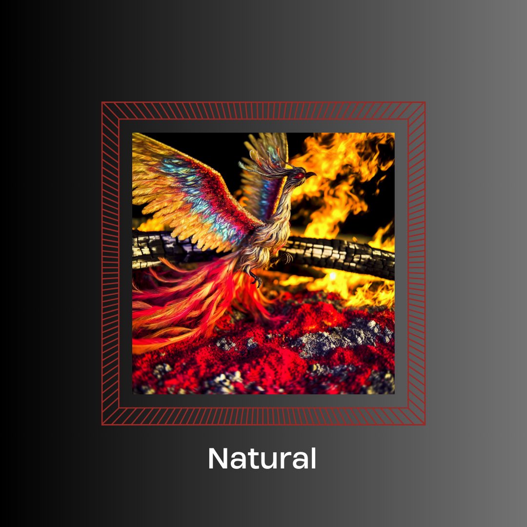 illtechnology's tweet image. Here’s another showcase of this week’s tech drop: ill Pic v0.2 

This one shows the differences in vivid and natural pictures using a phoenix prompt.

Check out our last post for more info on this latest feature drop!

#freetech #digitalart #arttech