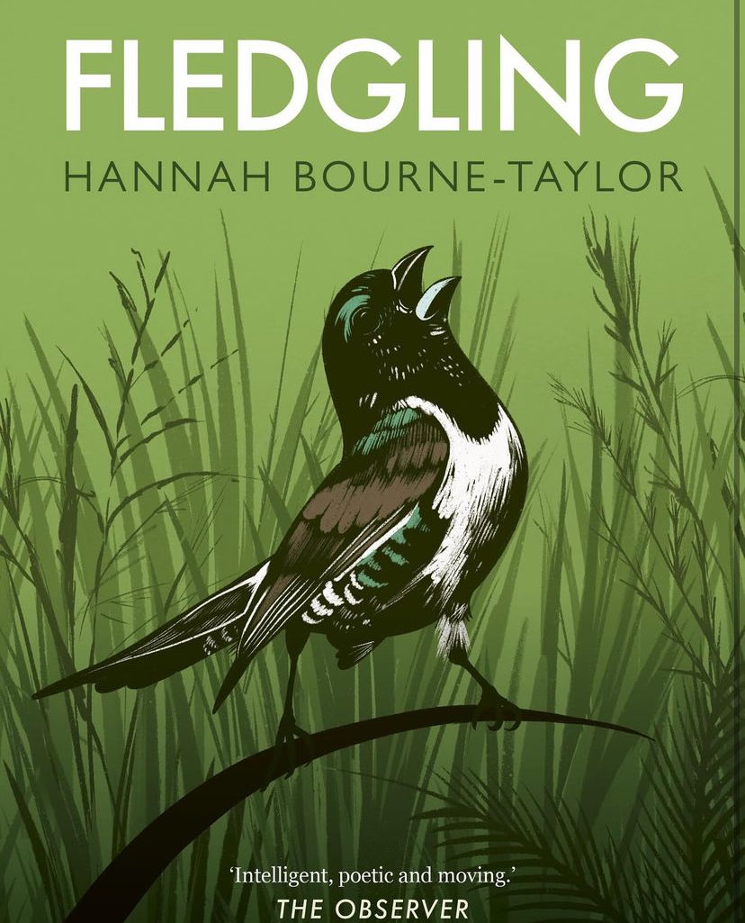 If you want to know why I’m never going to stop fighting to save swifts, come to Winestone’s Book shop in Sherborne tomorrow- 10th April 7pm. I will be talking about the finch who lived in my hair & the swift who redefined my life, both immortalised in #Fledgling. #birds #wild