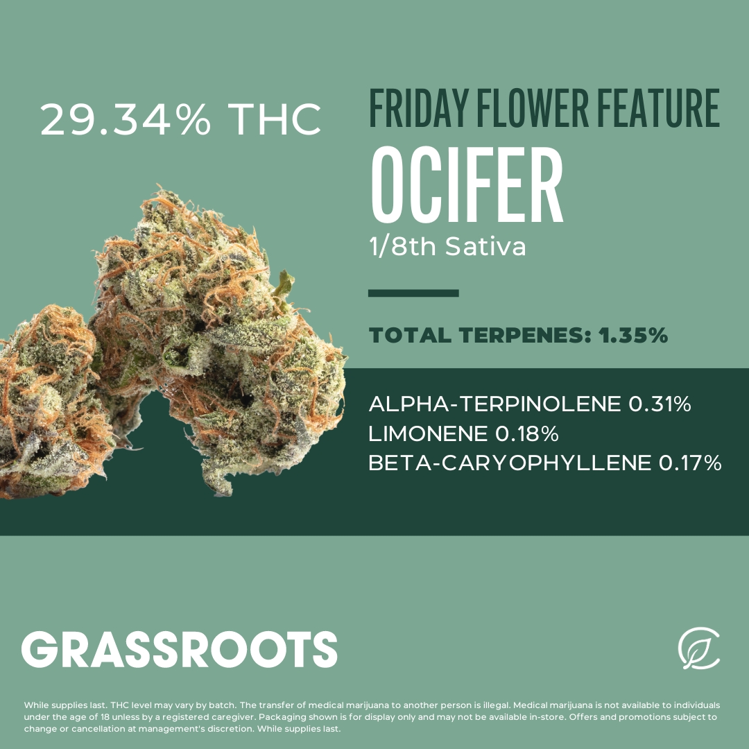 NEW 29% Grassroots Whole Flower!🔥 bit.ly/4aHbIav