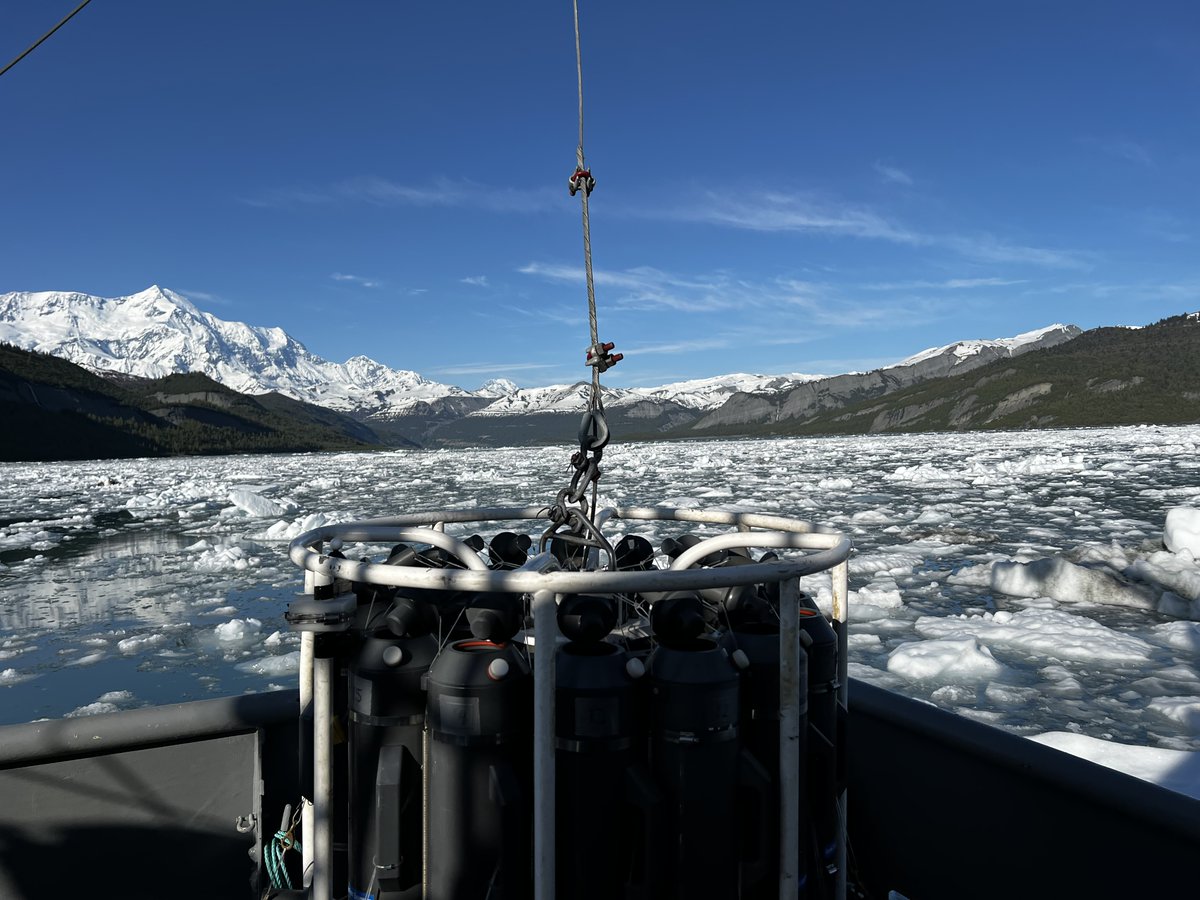 Field season in Alaska is heating up! 😎🌊🚢 We are shipping out gear for a project led by @UAFcfos research faculty Jenn Questel and @AlaskaNPS. 📸 in Lig̲aasi Áa (Icy Bay) #OceanAcidification #Zooplankton #ZoopScoop #FieldworkFriday #Oceanography