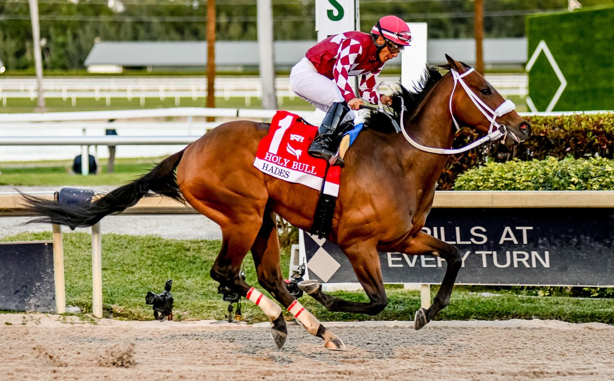 Derby dreams will ride on one last wild card race for Holy Bull winner HADES. The Joe Orseno trainee will make one last bid for Derby points in the Grade 3 Lexington Stakes @keenelandracing which offers points to five finishers on a scale of 20-10-6-4-2 📸 @AntelizJr