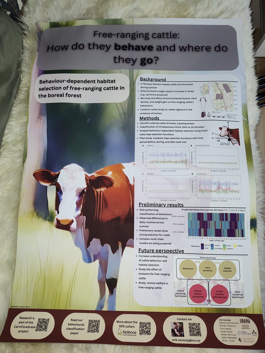 Poster is ready for the upcoming conference. It's printed on canvas. 

#PhD #PhDlife #poster #posterdesign #animalbehaviour #cattle #forests #conference