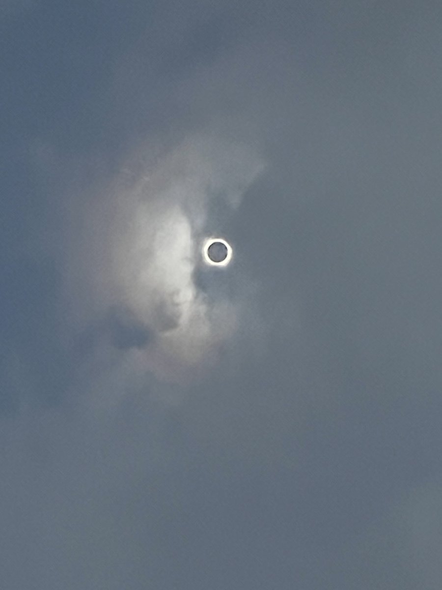 Eclipse Excitement: Spectacular Solar Show! 🌑🌞 Our team @louisenblu @nephwhisperer @nephrojobs watched the #eclipse2024 together in Dallas Texas!! #TexasEclipse2024 #totalityorbust