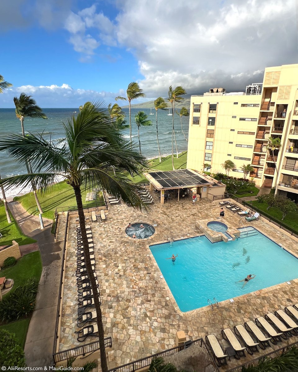 Stay at #SugarBeachResort in North Kihei, nestled on 5 tropical acres along 6 miles of #sandybeach. Enjoy 1-2 bedroom oceanfront rentals with full kitchens, private lanais, and stunning sunset views, perfect for #whalewatching in winter.

aliiresorts.com/vrp/complex/su…