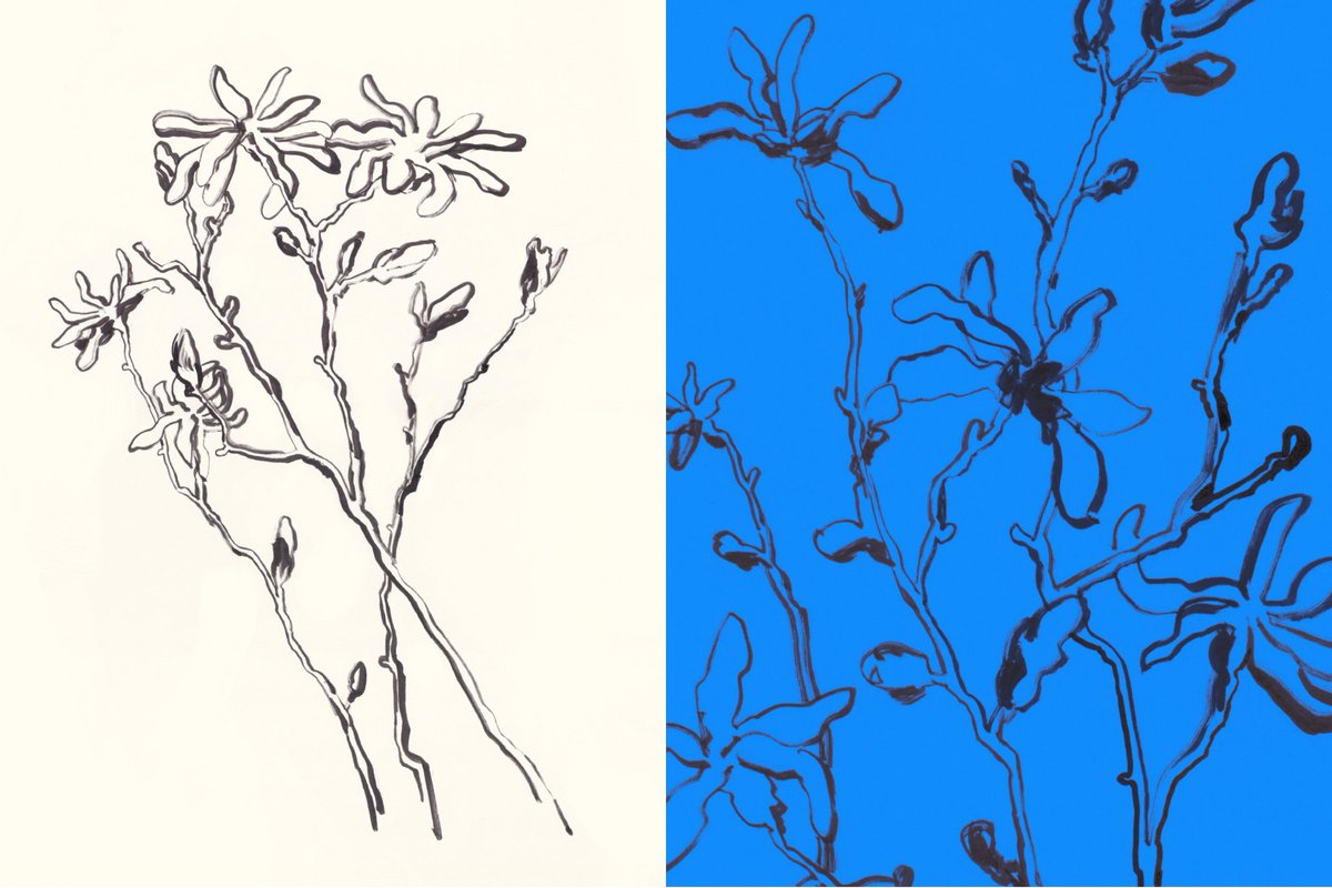 21t11_'s tweet image. hi #PortfolioDay! i&apos;m tanya and i love to draw flowers :,)