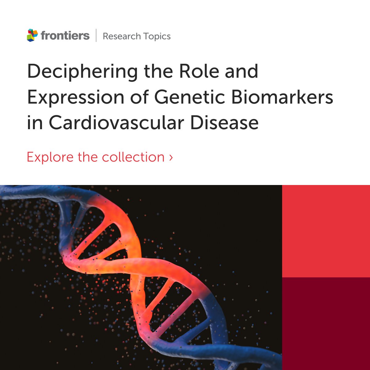 Presenting “Deciphering the Role and Expression of Genetic Biomarkers in Cardiovascular Disease” #GeneticBiomarkers Article collection hosted by Emma Robinson, Ramcés Falfán-valencia, and Juan Manuel Reséndiz-Hernández 🫀 Explore the collection here👉frontiersin.org/research-topic…