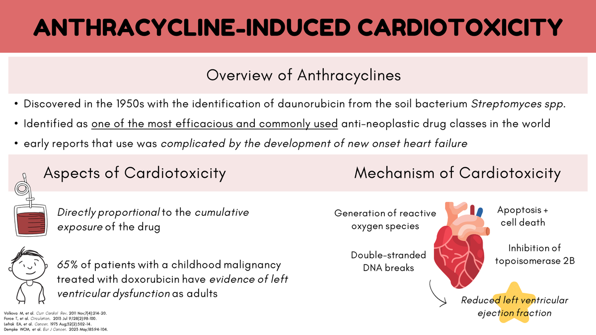 ZHeart11768530's tweet photo. 🔴 Anthracycline- Induced Cardiotoxicity!

#ACC24 #CardOnc
#Epeeps #CardioTwitter #EHRA2024
 #CardioEd #Cardiology #FOAMed #meded #MedEd #Cardiology #CardioTwitter #cardiotwitter #cardiotwiteros #CardioEd #MedTwitter #MedX #cardiovascular #medtwitter #FOAMed #paramedic https://t.co/uwyaM3BTtd