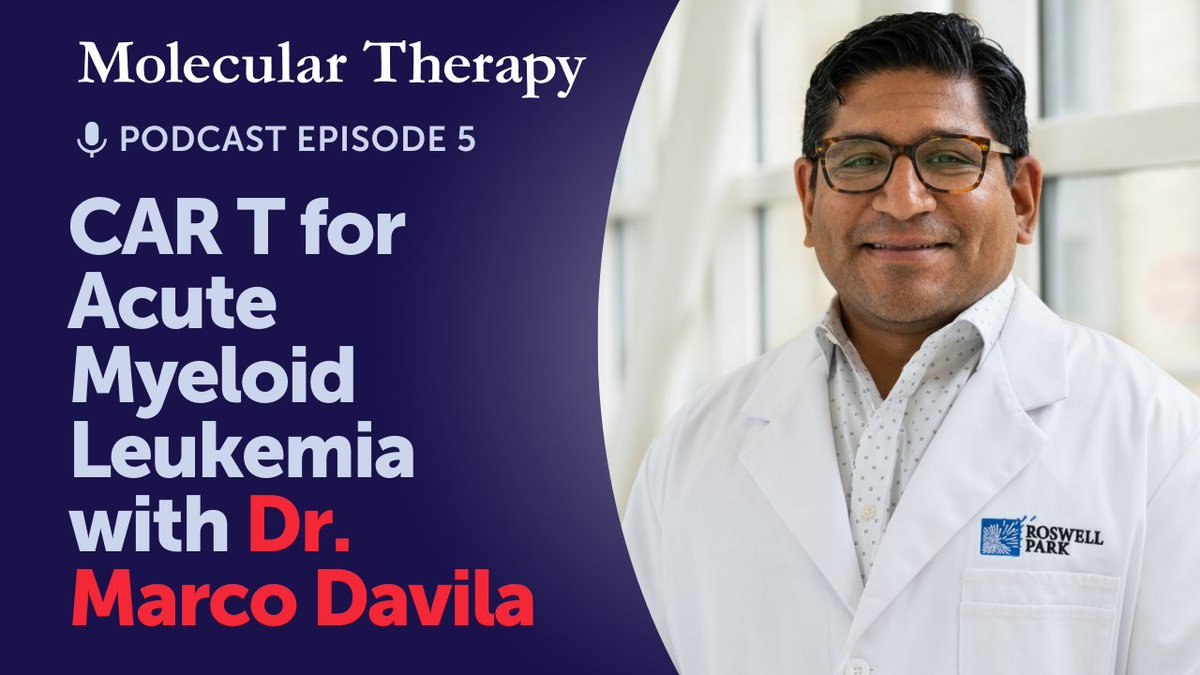 Listen to the NEW episode of the @MolTherapy podcast with @MarcoLDavila! Dr. Davila joins #MTO editor @@KidsOncDoc to discuss a recent article published in the December issue of #MTO by Dr. Davila and colleagues bit.ly/3TRSJ6v #AcuteMyeloidLeukemia. #AML