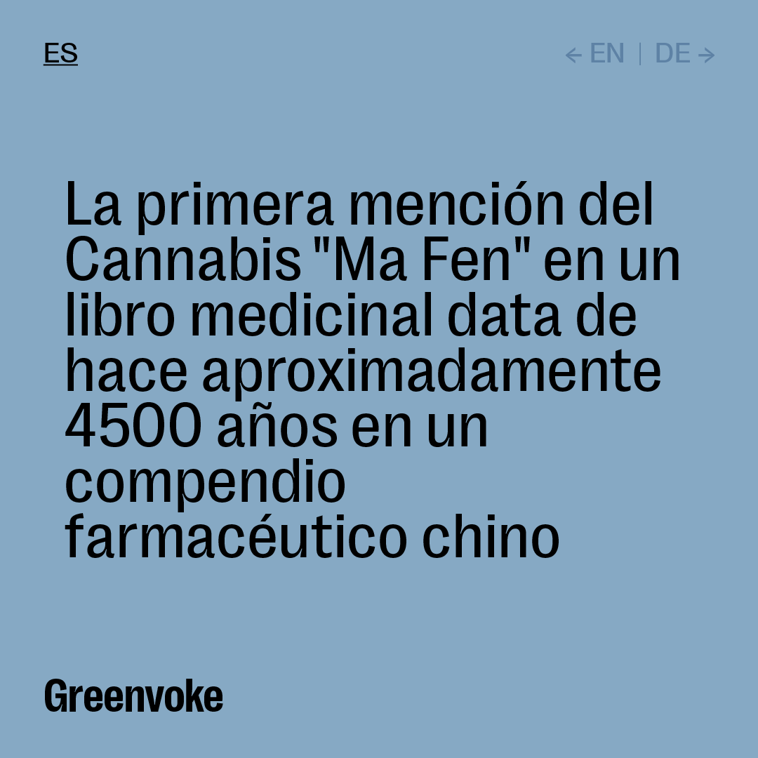 greenvoke's tweet photo. #marijuana #medicina #mota #WeedLovers #weedlife #Colombia https://t.co/08npt0ZUV3