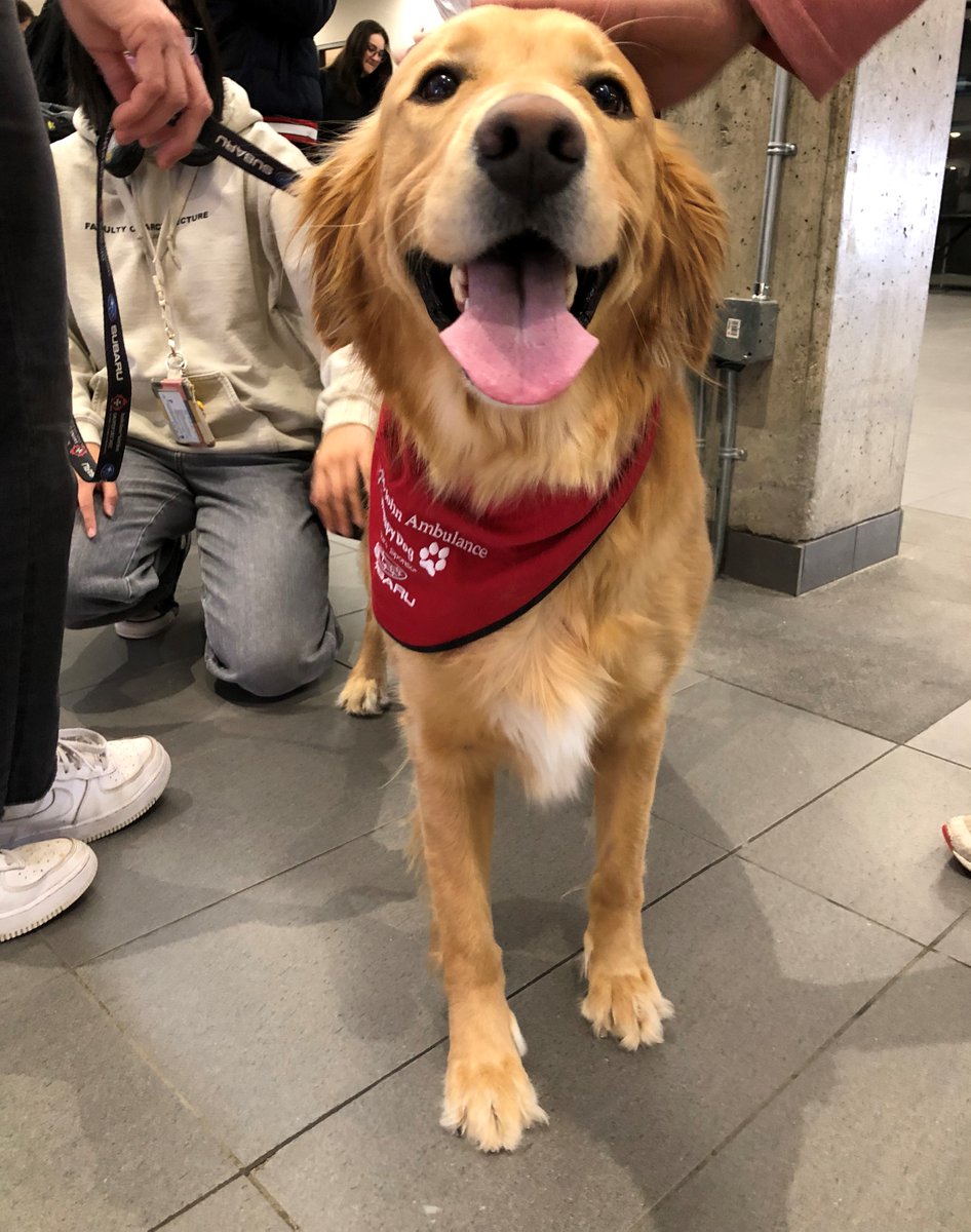 'Pause for Paws” pet therapy will be at Bannatyne campus tomorrow for all students, staff and faculty! Taking place from 11:30am-1:00pm in the Buhler Atrium (attached to the Brodie Centre).