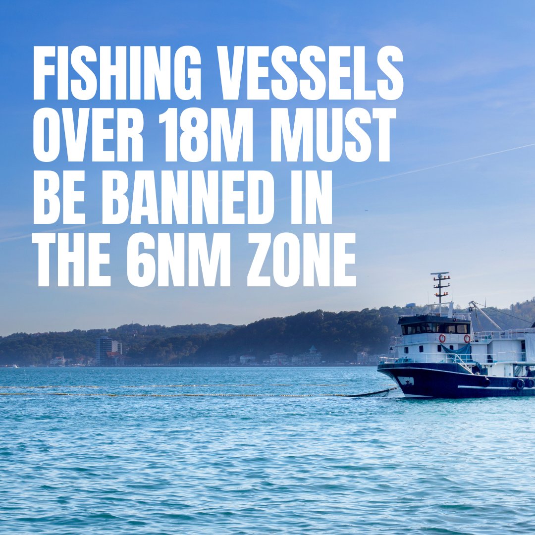 The consultation on trawling in the 6nm zone closes this Friday at 1pm. Our blog will tell you how to submit. It takes less then 5 minutes and is a chance to make a huge difference to the health of our inshore marine ecosystems and coastal communities iwt.ie/consultation-o…