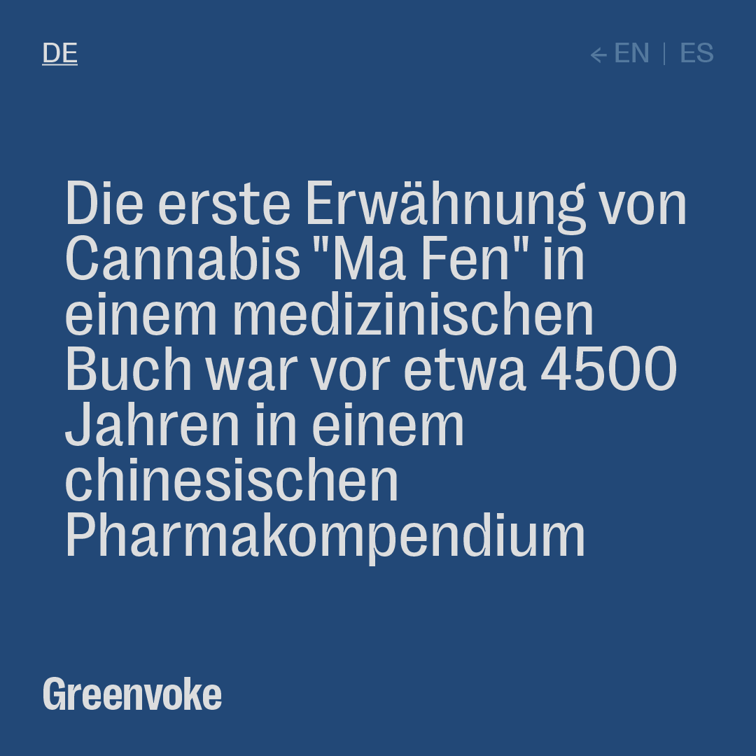 greenvoke's tweet photo. #cangjetzt #cangkommt #cannabisistmedizin #Gras #medicalcannabis https://t.co/S8cID6tZFO