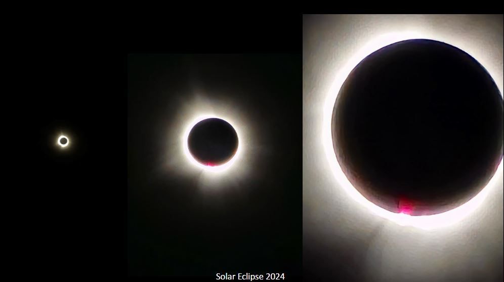 WSU Biological Sciences Dept. tweet media