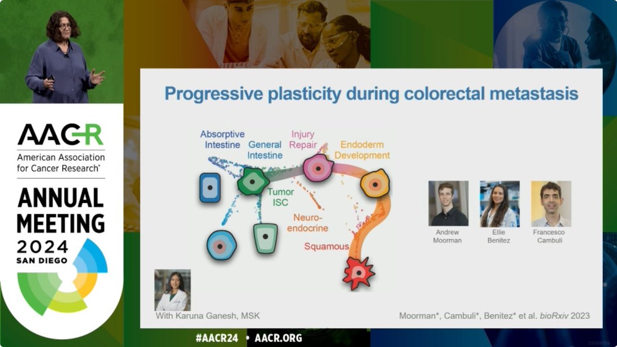 Stefanie Gerstberger, MD PhD (@scgerstberger) on Twitter photo CRC progression is all about plasticity. Brilliant talk by the amazing <a href="/dana_peer/">dana_peer</a> about this visionary project with <a href="/KarunaMDPhD/">Karuna Ganesh</a>! Shout out to the team behind the work <a href="/andrewrmoorman/">Andrew Moorman</a> <a href="/elliebenitez11/">Ellie Benitez</a> @f_cambuli <a href="/CassBurdziak/">Cassandra Burdziak</a> <a href="/KarunaGaneshLab/">Karuna Ganesh Lab</a> #AACR24 #CRC #plasticity CRC progression is all about plasticity. Brilliant talk by the amazing <a href="/dana_peer/">dana_peer</a> about this visionary project with <a href="/KarunaMDPhD/">Karuna Ganesh</a>! Shout out to the team behind the work <a href="/andrewrmoorman/">Andrew Moorman</a> <a href="/elliebenitez11/">Ellie Benitez</a> @f_cambuli <a href="/CassBurdziak/">Cassandra Burdziak</a> <a href="/KarunaGaneshLab/">Karuna Ganesh Lab</a> #AACR24 #CRC #plasticity