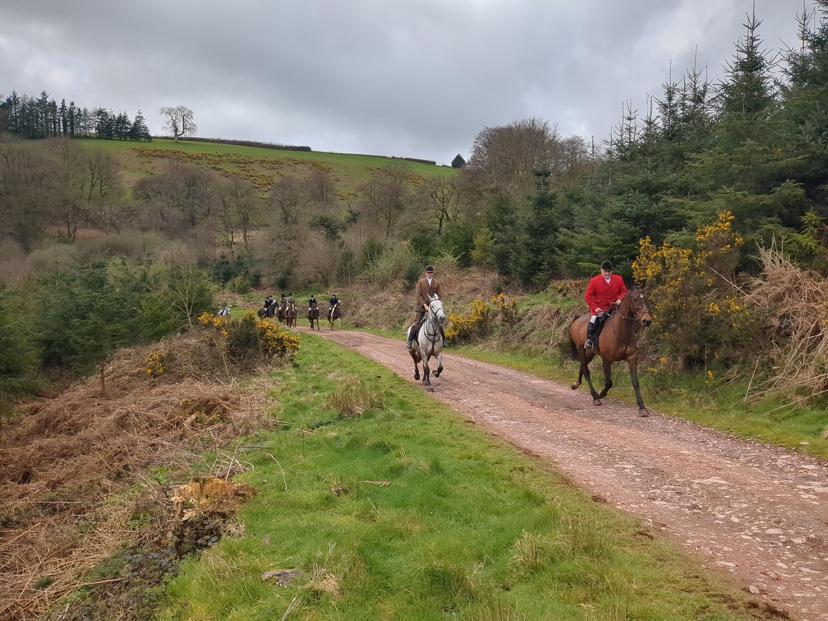 Our second successful day in a row sabbing the stag hunts ✊ Today we visited the Devon &amp; Somerset Stag Hounds who met at Perry Farm near Pixton Park. A young stag was separated and chased but escaped near Wimbleball Reservoir. 1/2