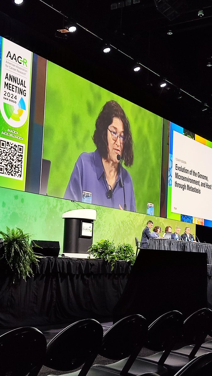 Renato Ostuni tweet media