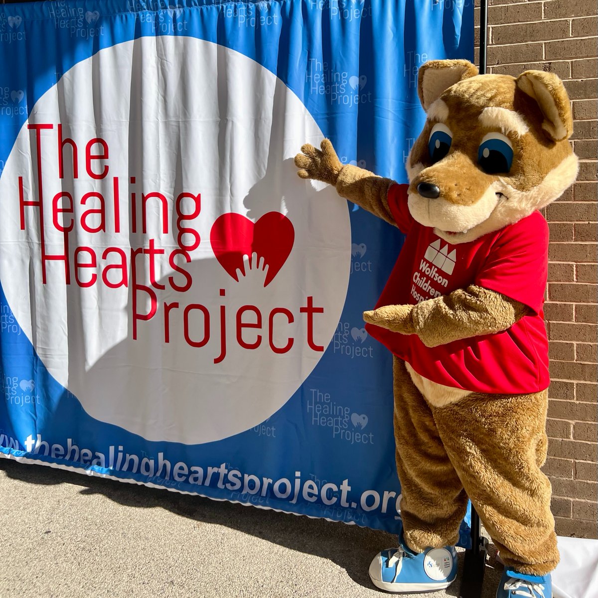 Wolfie had a blast at the Healing Hearts Walk over the weekend! The Healing Hearts Project offers family support for heart patients at Wolfson Children's Hospital & @UFHealth Jax. We are so grateful for all this organization does for our #WolfsonWarriors and their families!