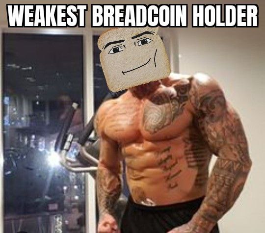 $BRD | BREADCOIN tweet media