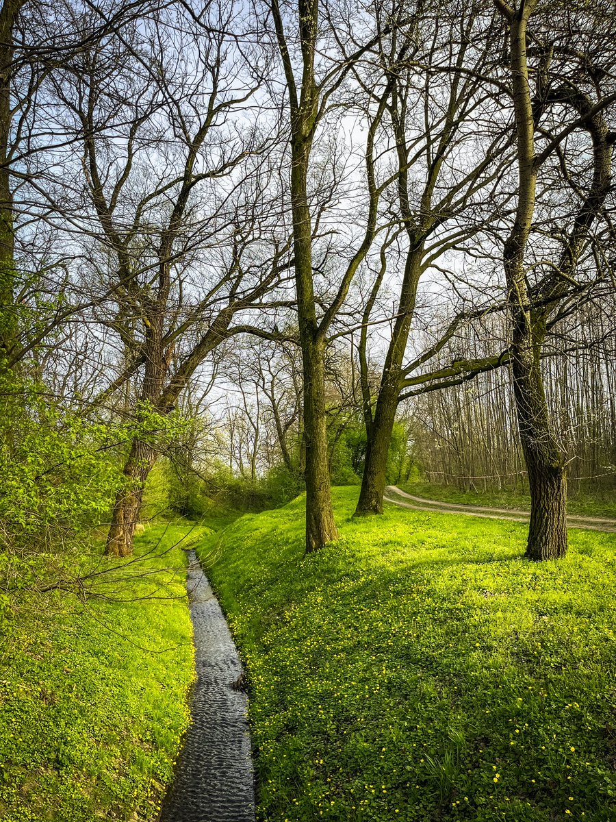 OneStepForward7's tweet image. 📍Rzędzińska, Tarnów

Rozkwitające kwiaty, zielone liście, szemrzący potok, śpiew ptaków. Podsumowując, idealne miejsce na popołudniowy spacer po pracy 😉

#tarnów