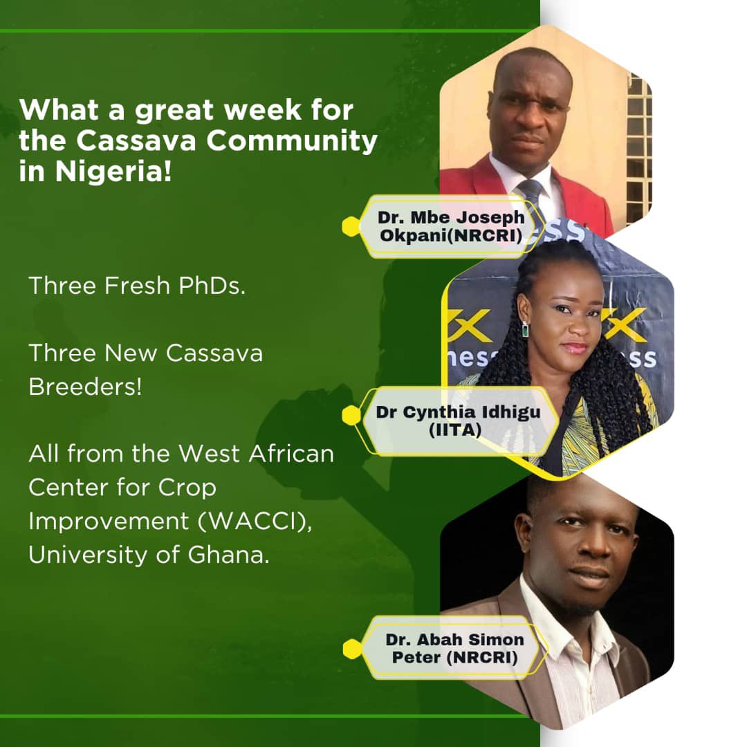 We delivered more #Cassava Breeders this week. All Alumni of the @NextGenCassava project. We are growing the community. Congratulations to @nrcri_umudike and @IITA_CGIAR young scientists Joseph (NRCRI), Cynthia (IITA) and Simon Peter (NRCRI) @RTB_CGIAR